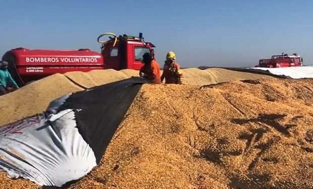 "Por favor, basta": el mensaje de la productora que denunció incendios intencionales en su campo