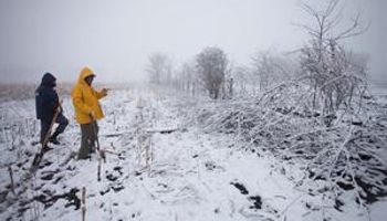 Córdoba: de los incendios a la nieve en pocos días