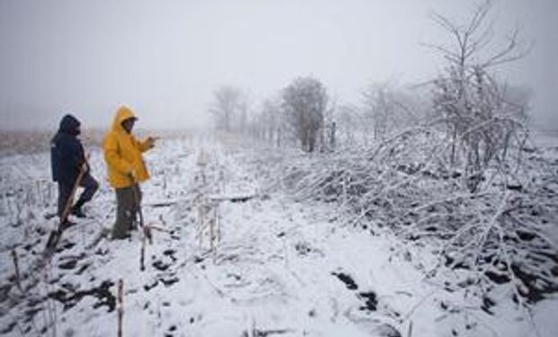 Córdoba: de los incendios a la nieve en pocos días