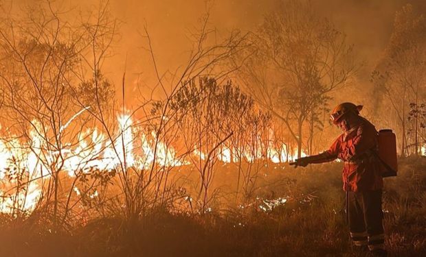 Fogo pelo Brasil: estados anunciam medidas emergenciais e senadores querem agravar penas em crimes de incêndio