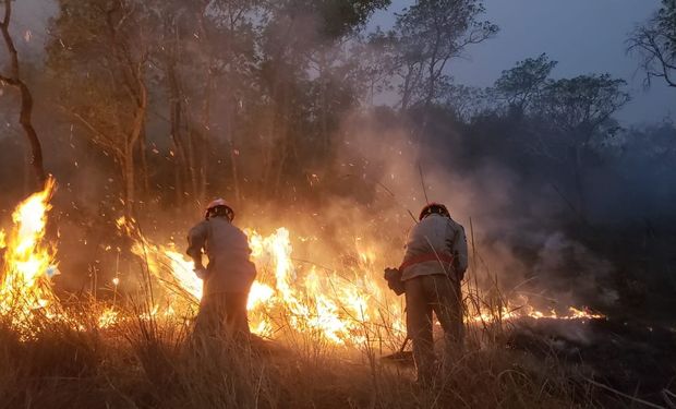 Aprosoja-MT alerta produtores para perigo de incêndios durante a colheita