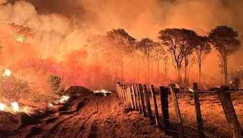 Satélite flagra fazenda que começou megaincêndio no Pantanal