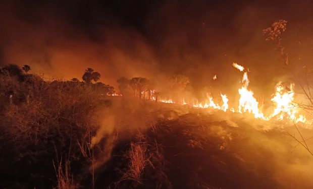 Incêndios: PR tem ajuda da Nasa, Tocantins declara emergência e SP prende mais um