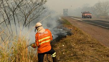 Fazendas atingidas, rodovia parada e onças carbonizadas: fogo consome o Pantanal