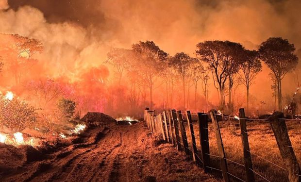 Decreto de emergência terá vigência de 90 dias e vale para os municípios de Corumbá, Ladário, Miranda, Aquidauana e Porto Murtinho. (Foto - Divulgação/MS)