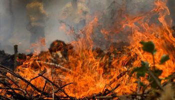 Incêndios: brigadista morre após caminhão-pipa pegar fogo; prejuízos ao agro passam de R$ 14 bilhões