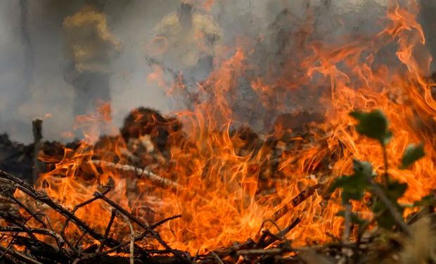 Incêndios: brigadista morre após caminhão-pipa pegar fogo; prejuízos ao agro passam de R$ 14 bilhões