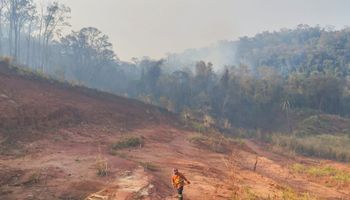 Incêndios causam danos milionários em Goiás e Paraná enfrenta fogo próximo a explosivos do Exército