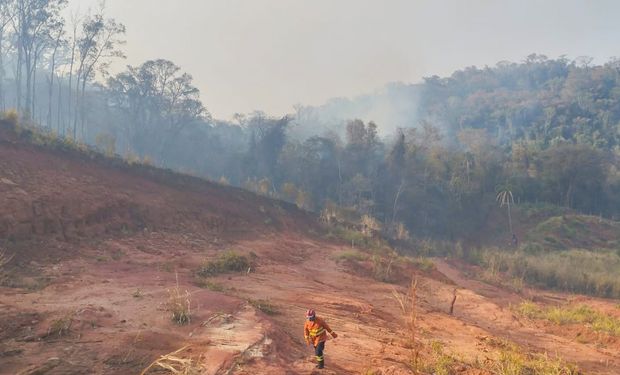 Incêndios causam danos milionários em Goiás e Paraná enfrenta fogo próximo a explosivos do Exército