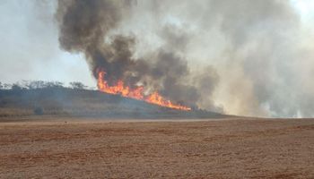 Ação humana causou 99,9% dos incêndios em SP, afirma Defesa Civil