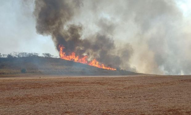 Ação humana causou 99,9% dos incêndios em SP, afirma Defesa Civil