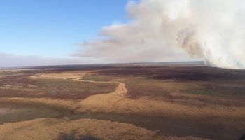 Incendios: declaran zona crítica al delta del Paraná y Nación avanza contra los propietarios