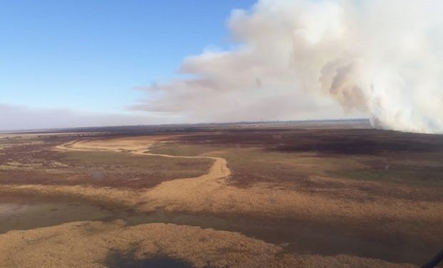 Incendios: declaran zona crítica al delta del Paraná y Nación avanza contra los propietarios