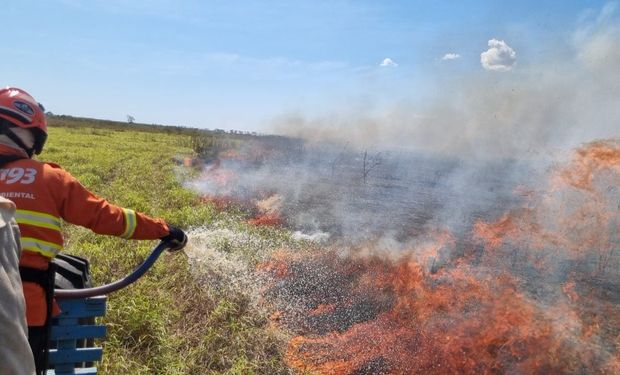 Quase um quarto do Brasil pegou fogo nos últimos 40 anos, diz estudo