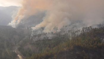 Incendio consumió más de dos mil hectáreas
