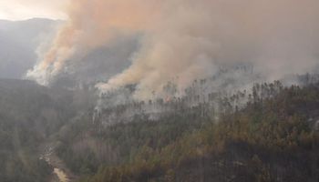 Unas 15 mil hectáreas ya ardieron en Calamuchita
