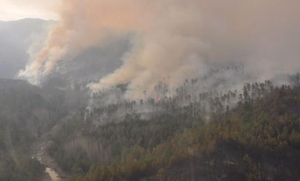 Unas 15 mil hectáreas ya ardieron en Calamuchita