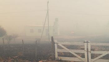 Córdoba: solicitan la Emergencia Agropecuaria para las zonas incendiadas