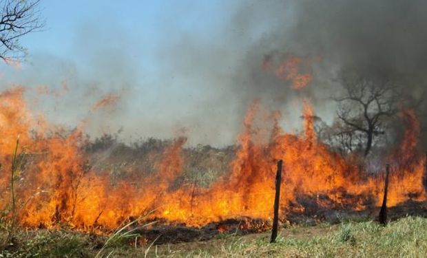 Recomendaciones para trabajar en zonas donde se duplicó el área de riesgo de incendios 