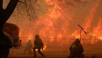 Por los incendios, declaran la emergencia agropecuaria en Córdoba