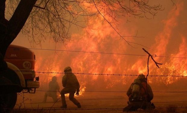 Por los incendios, declaran la emergencia agropecuaria en Córdoba