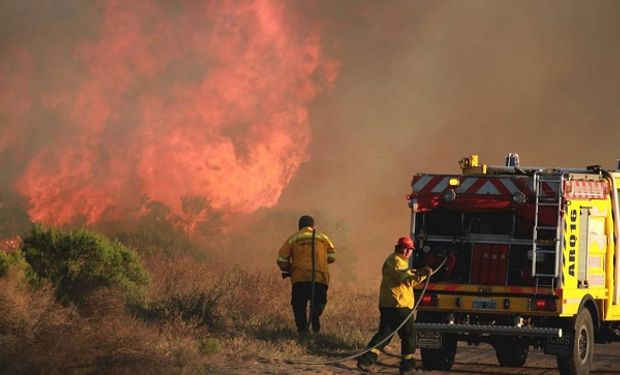 Mendoza declaró la emergencia agropecuaria en el sur de la provincia.