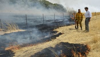 El incendio en la localidad bonaerense de Tronquist ya afectó 20 mil hectáreas