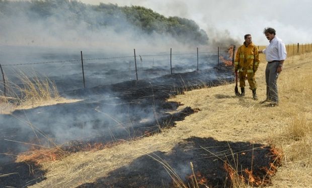 Otras localidades afectadas son Sierra de la Ventana, como Bahía Blanca, Monte Hermoso, Coronel Suárez, Punta Alta y Coronel Pringles.