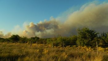 La Pampa: se incendiaron 153 mil hectáreas y hay 2 millones en riesgo