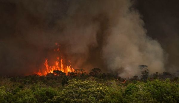 amazonia_incendio