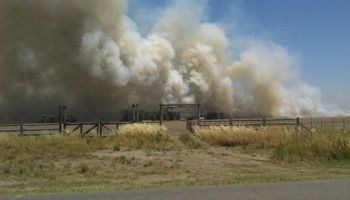 Recomendaciones para productores y contratistas ante altas temperaturas