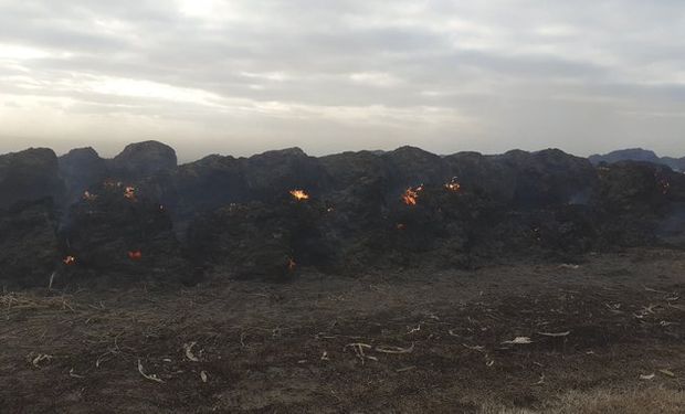 Investigan las causas del voraz incendio en el campo del presidente de La Rural de Río Cuarto