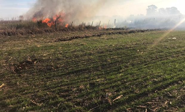 Nuevos incendios preocupan a productores y acusan al Gobierno de "ignorar la quema deliberada de alimentos"