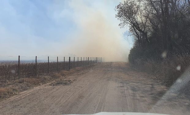Investigan un nuevo incendio en el campo del vicepresidente de Confederaciones Rurales Argentinas