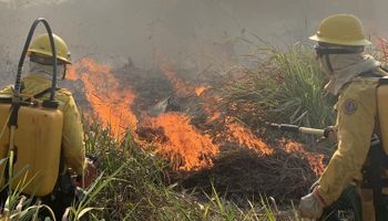 Combate a incêndios avança com chuvas e polícia segue na cola de suspeitos com multa e operação deflagrada