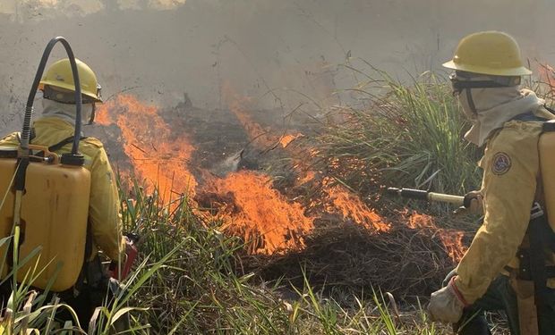 Combate a incêndios avança com chuvas e polícia segue na cola de suspeitos com multa e operação deflagrada