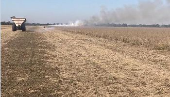 "Parece una película de terror": productores denuncian incendios intencionales en la cosecha