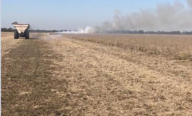 "Parece una película de terror": productores denuncian incendios intencionales en la cosecha