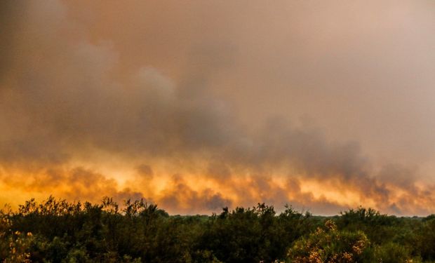 Incendios en el sur de Mendoza. Foto: MDZ