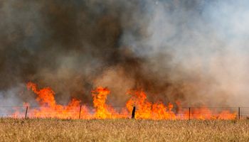 ¿Cambió el clima? Qué se sabe de las olas de calor en Argentina y el impacto en el campo