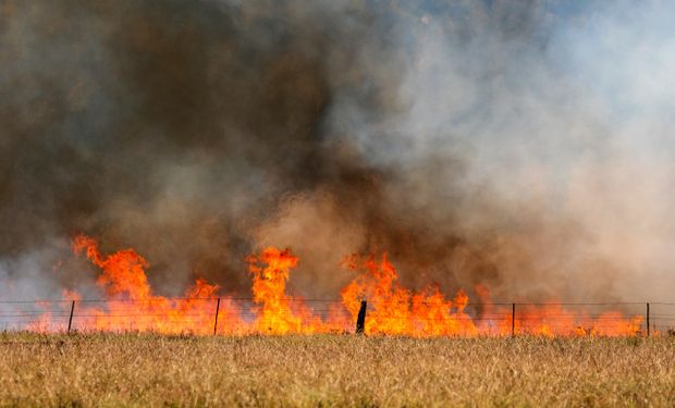 ¿Cambió el clima? Qué se sabe de las olas de calor en Argentina y el impacto en el campo
