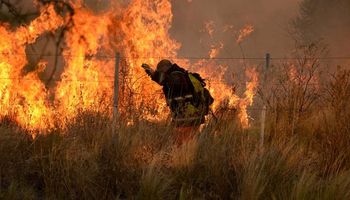 Tras 11 días, logran controlar el incendio forestal en San Luis