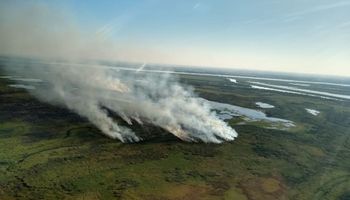 Cómo es el plan de forestación en respuesta a los incendios de las islas: plantarán 750 especies nativas