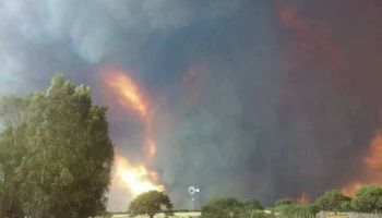 Dramáticos testimonios de los productores de las zonas afectadas por los incendios