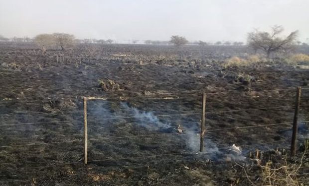 Sequía y múltiples focos de incendio en el norte: "Tanto la ganadería como la agricultura están perjudicadas"