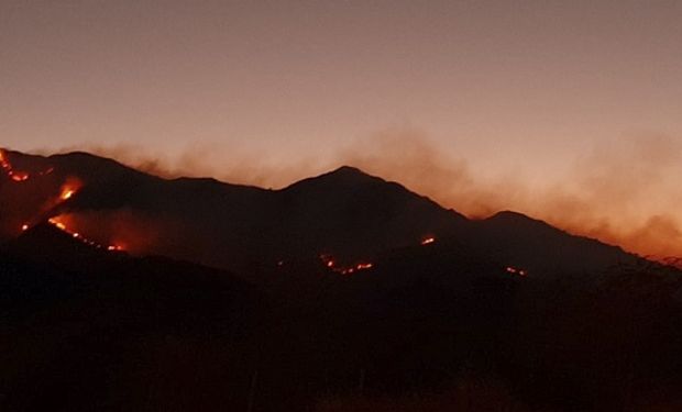 Ley del Manejo del Fuego: la propuesta de los profesionales de la ingeniería agronómica