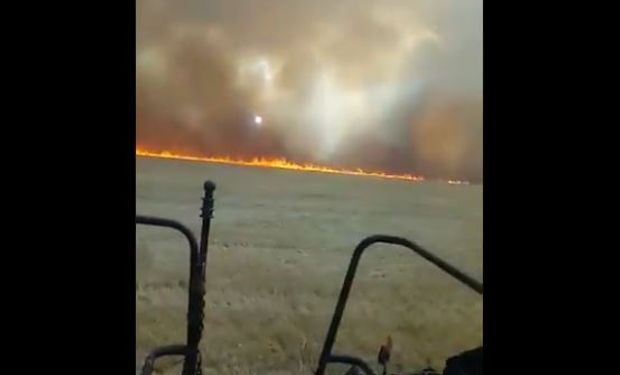 Video: se incendia el trigo en Brasil por la persistente sequía