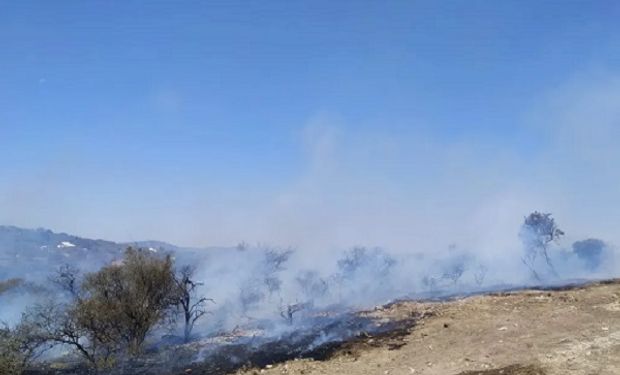 Quiso hacer un asado en Tanti y terminó preso