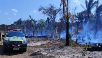 Incêndios: fogo em MT atinge casas e áreas rurais; autoridades agem com prisões e multas em TO e MG