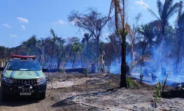 Incêndios: fogo em MT atinge casas e áreas rurais; autoridades agem com prisões e multas em TO e MG